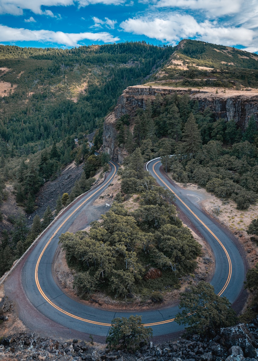 aerial view of road between trees during daytime