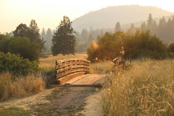 Quality Alcohol Rehab Facilities Portland