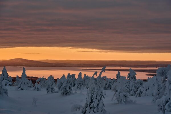 Outpatient Rehab Eugene Oregon