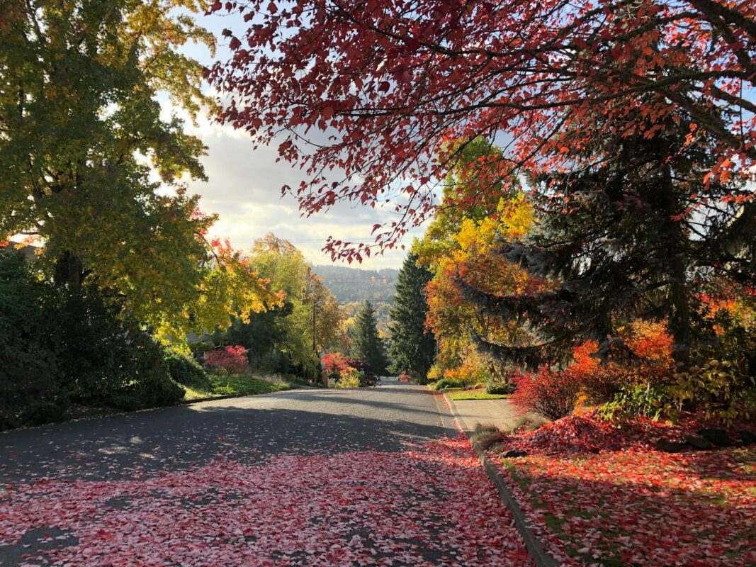Rehab Centers in Eugene Oregon